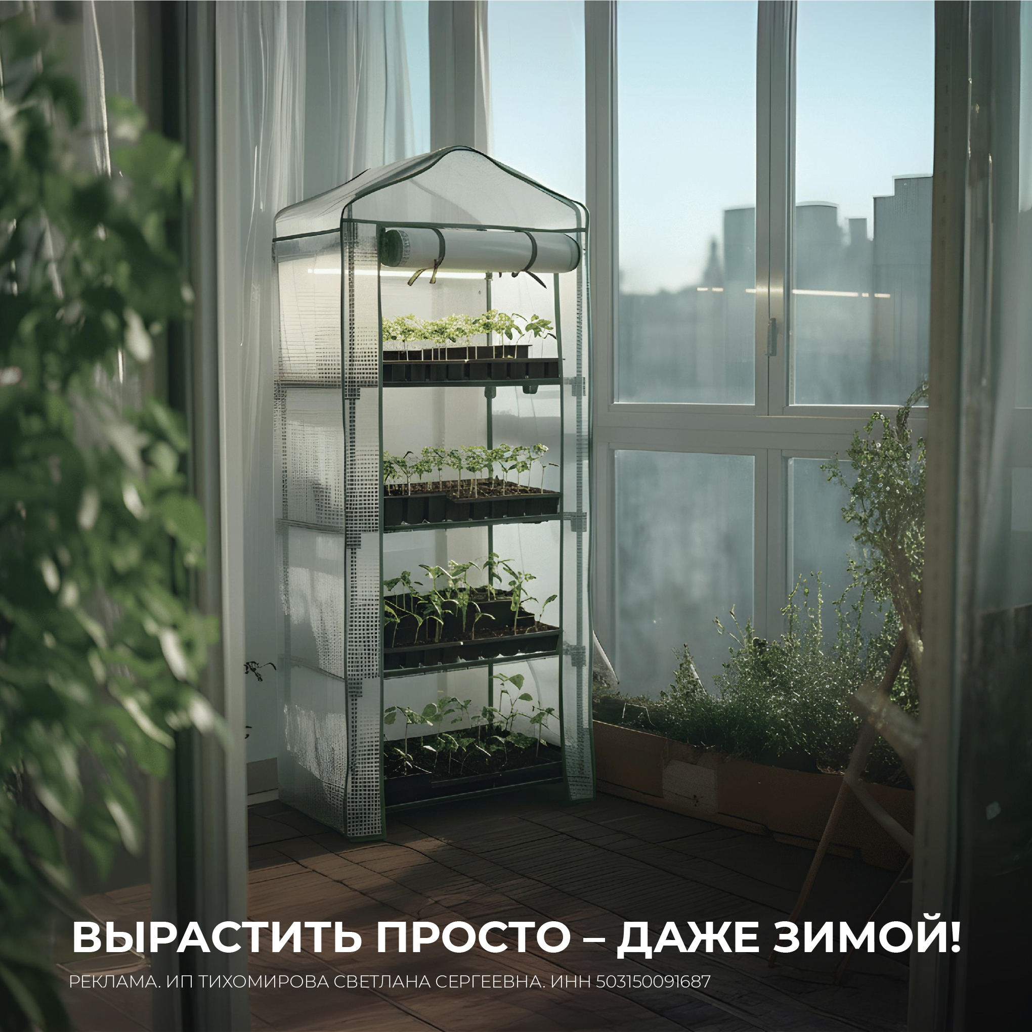 ВЫРАСТИТЬ ПРОСТО – ДАЖЕ ЗИМОЙ